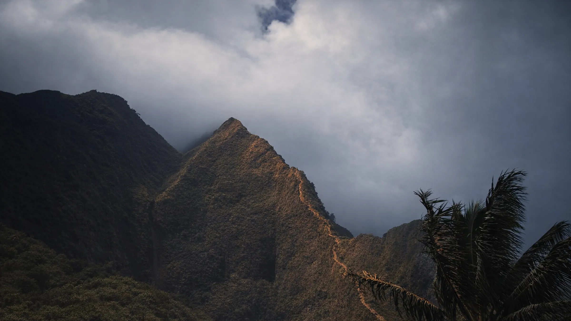 A mountain ridge above the clouds