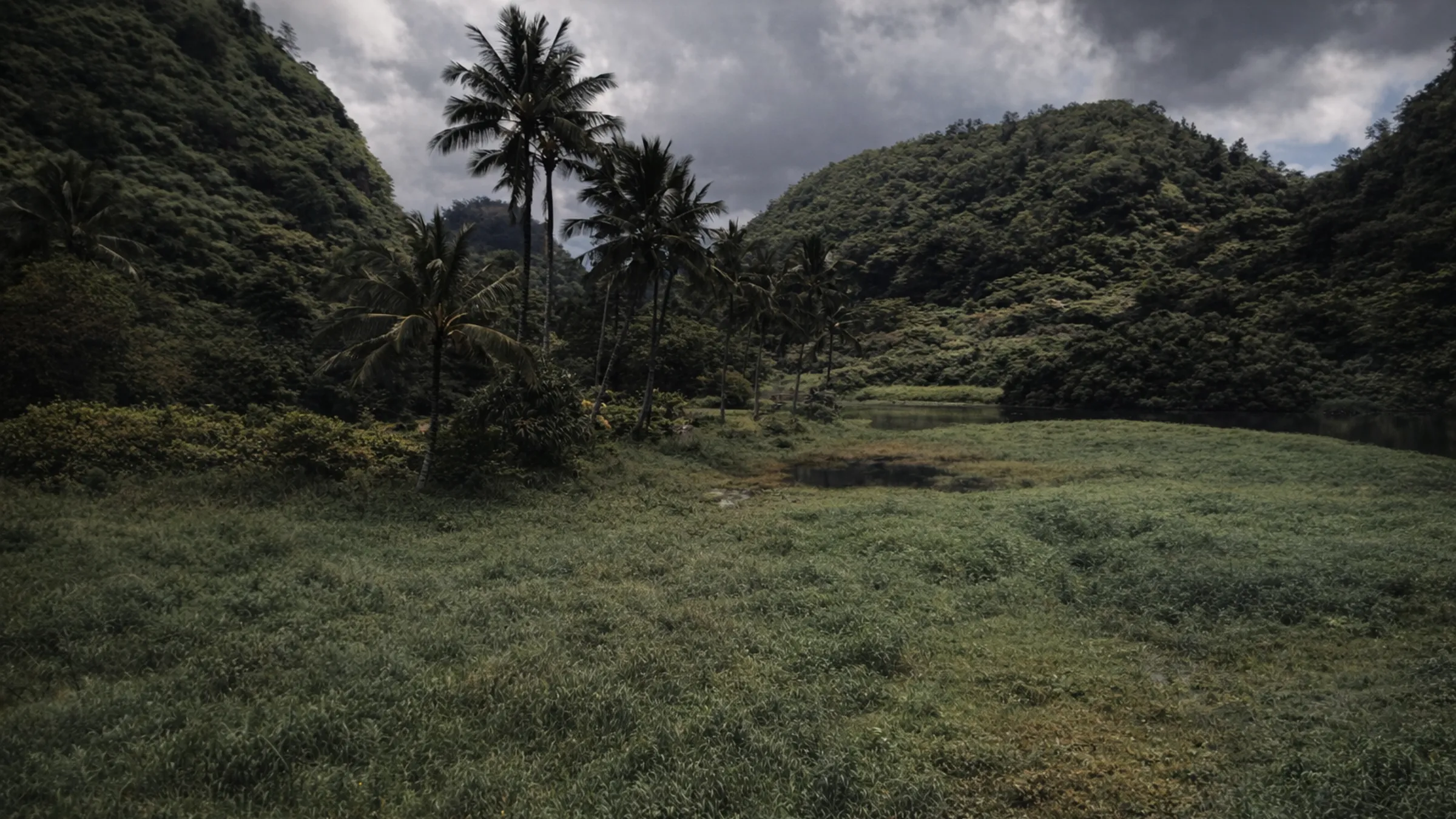 Storm-dark tropical valley with palms under heavy cloud